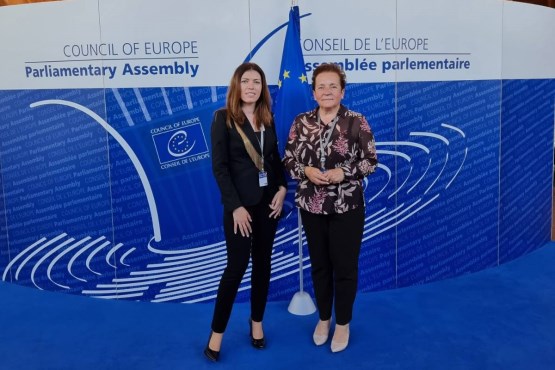 Članovi Delegacije PSBiH u PSVE učestvovali na trećem dijelu redovnog godišnjeg zasjedanja PSVE